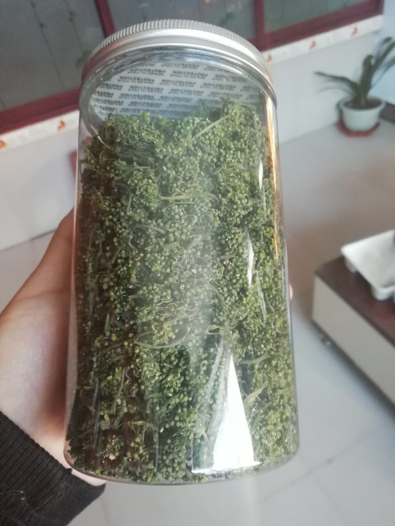 精品人参花，便宜卖！