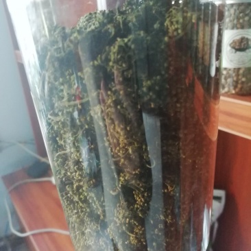 精品人参花，便宜卖！