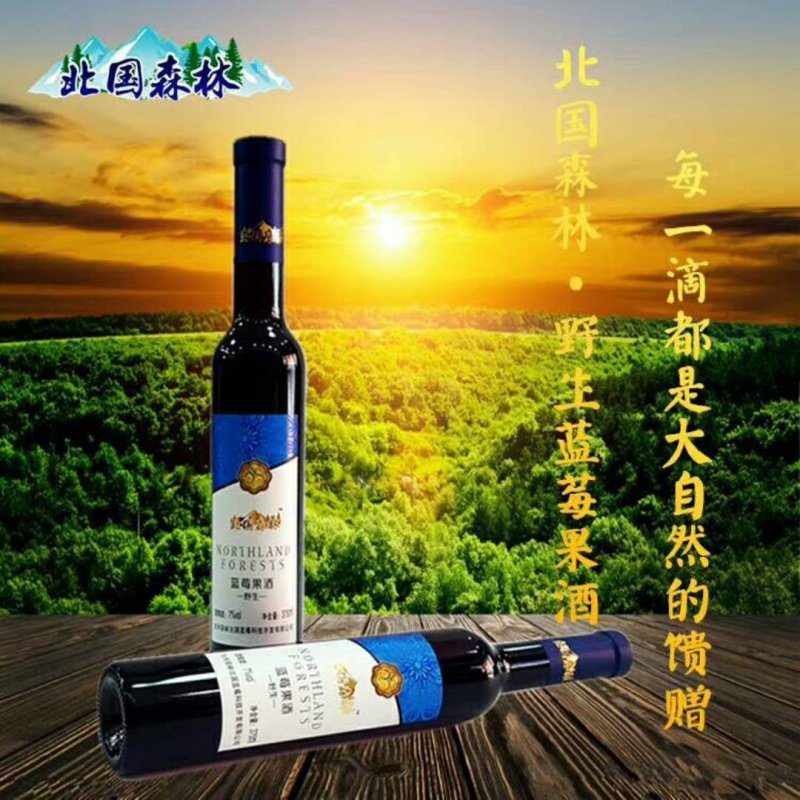 大兴安岭野生蓝莓酒北国森林野生蓝莓果酒