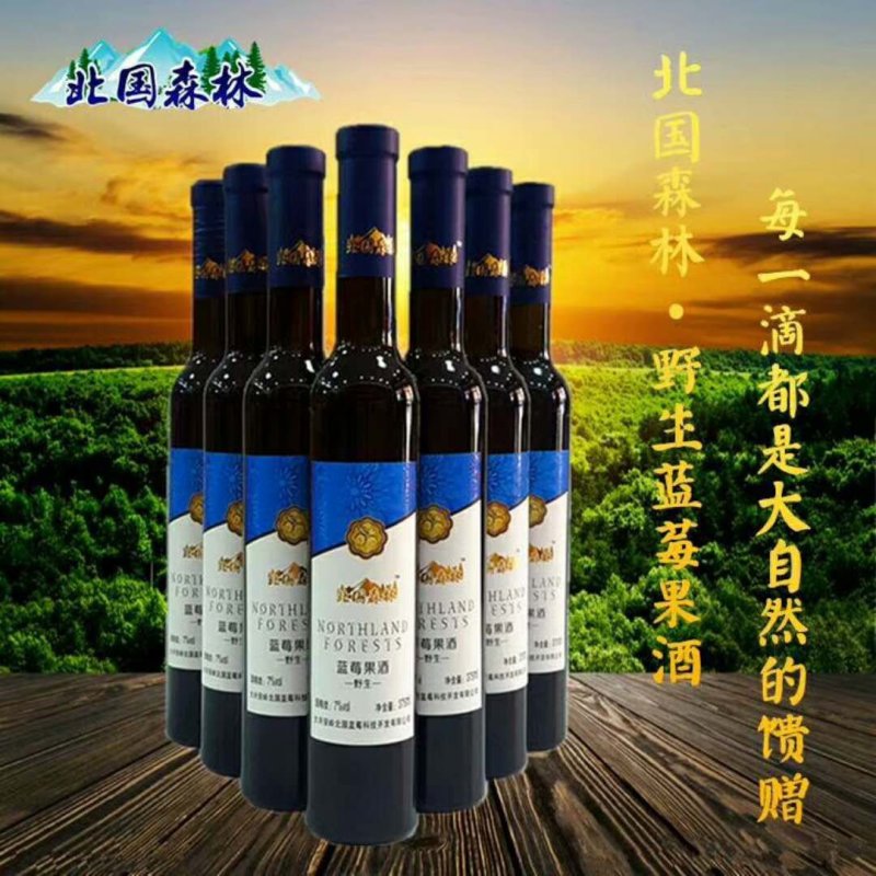 大兴安岭野生蓝莓酒北国森林野生蓝莓果酒