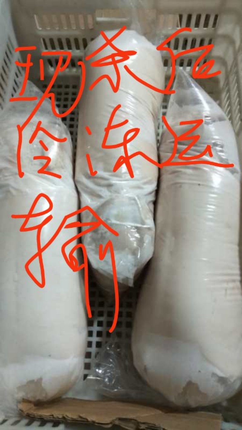 烤香猪食材纯种巴马香猪乳猪批发