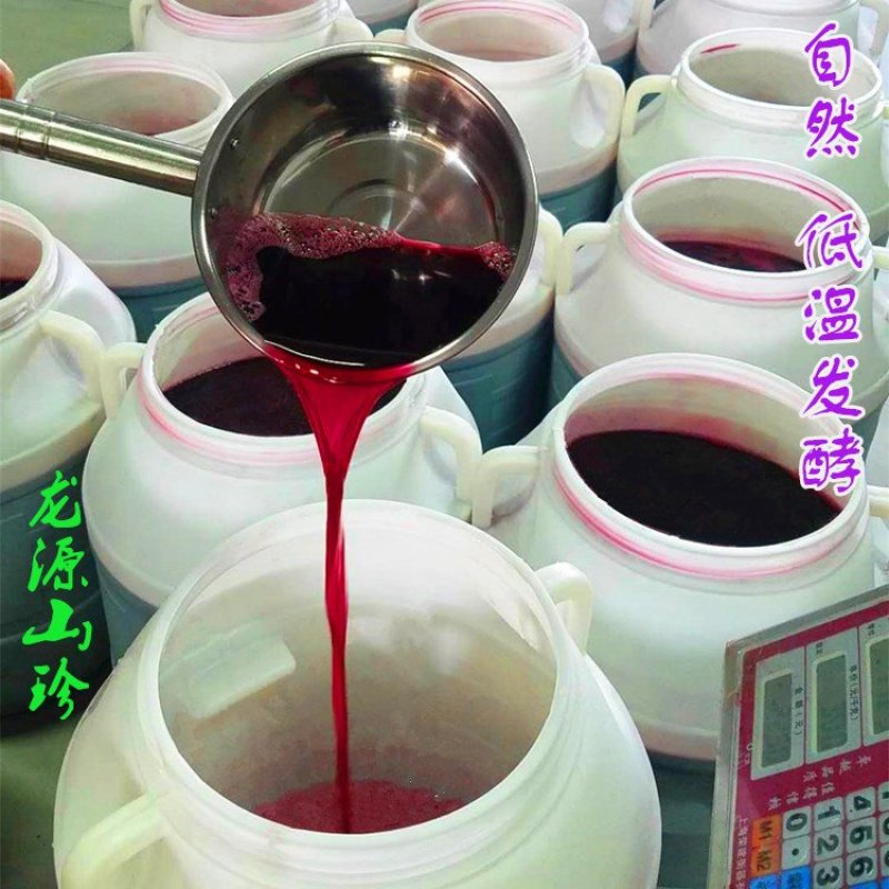 野生蓝莓酒无添加厂家直销大量供应