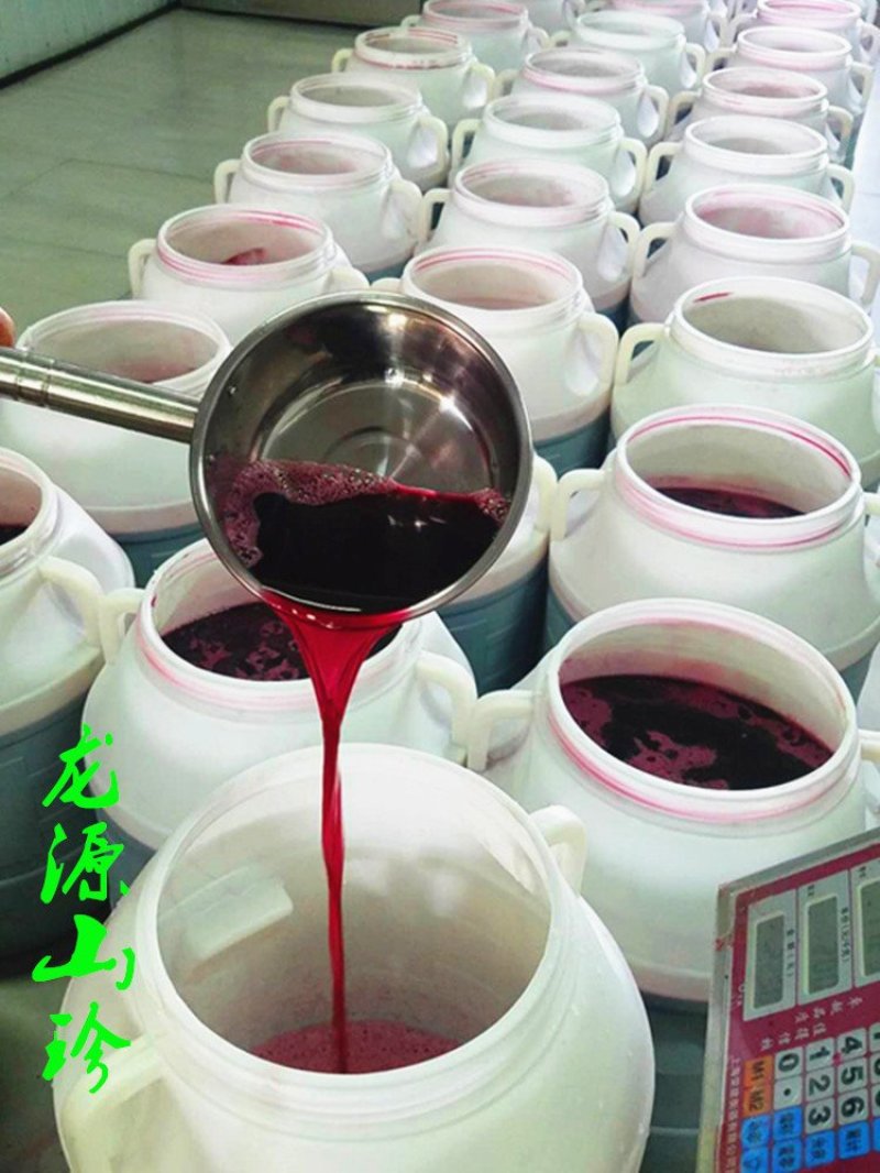 野生蓝莓酒无添加厂家直销大量供应