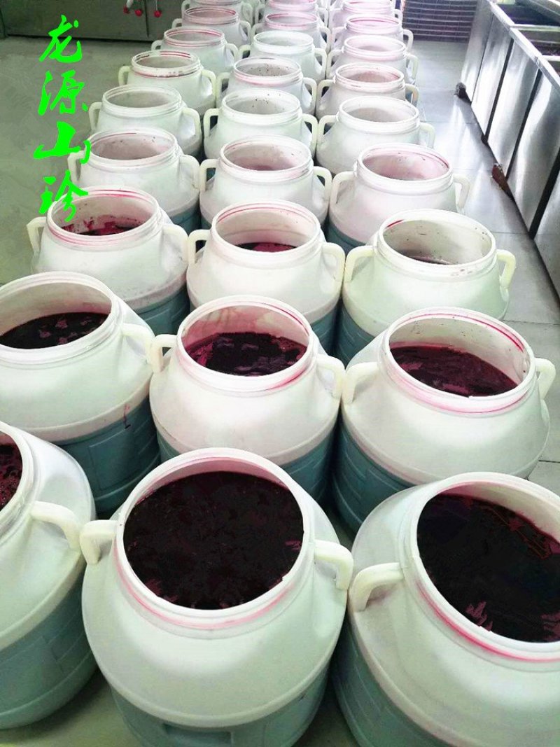 野生蓝莓酒无添加厂家直销大量供应