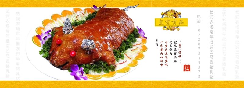 烤香猪食材纯种巴马香猪乳猪批发