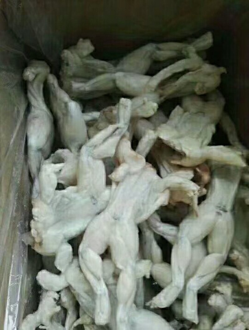 牛蛙烧烤可用大中小规格，