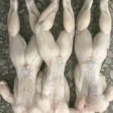 牛蛙烧烤可用大中小规格，