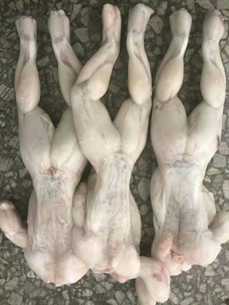 牛蛙烧烤可用大中小规格，