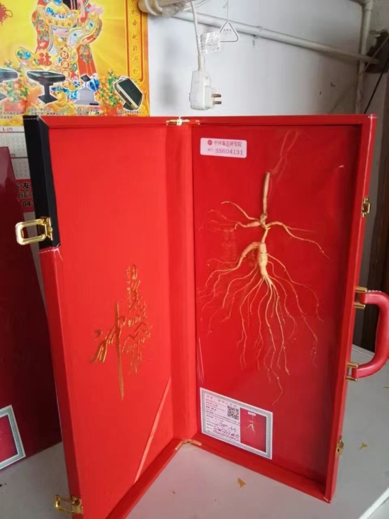 长白山林下参各种规格配有高档礼盒