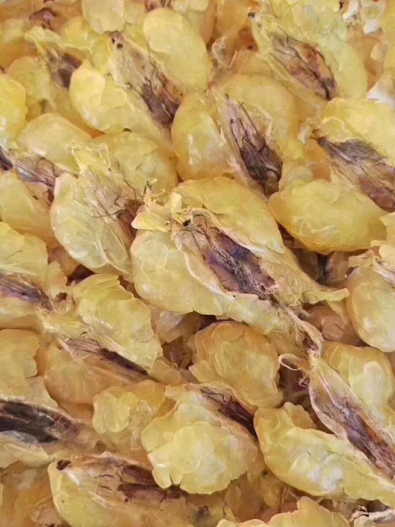 东北林蛙油高质量高营养