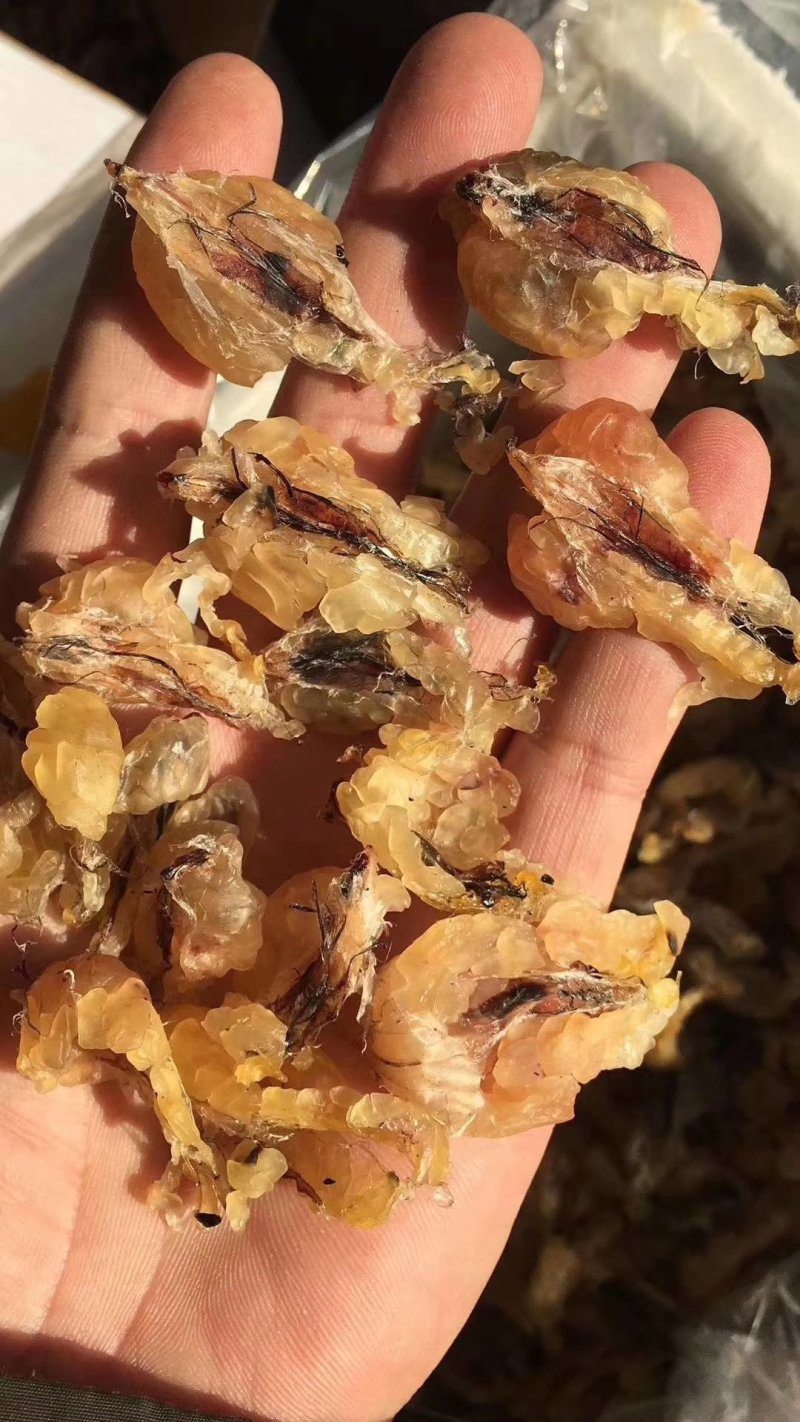 东北林蛙油高质量高营养