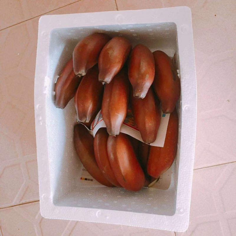 美人香蕉，，，，，，，，，，，，，，，，，，