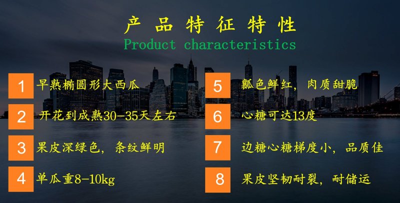 西瓜种子乾德新甜500粒/袋口感好抗病粉瓤