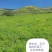 甘肃无硫白条党参岷县党参新货0.5-0.7