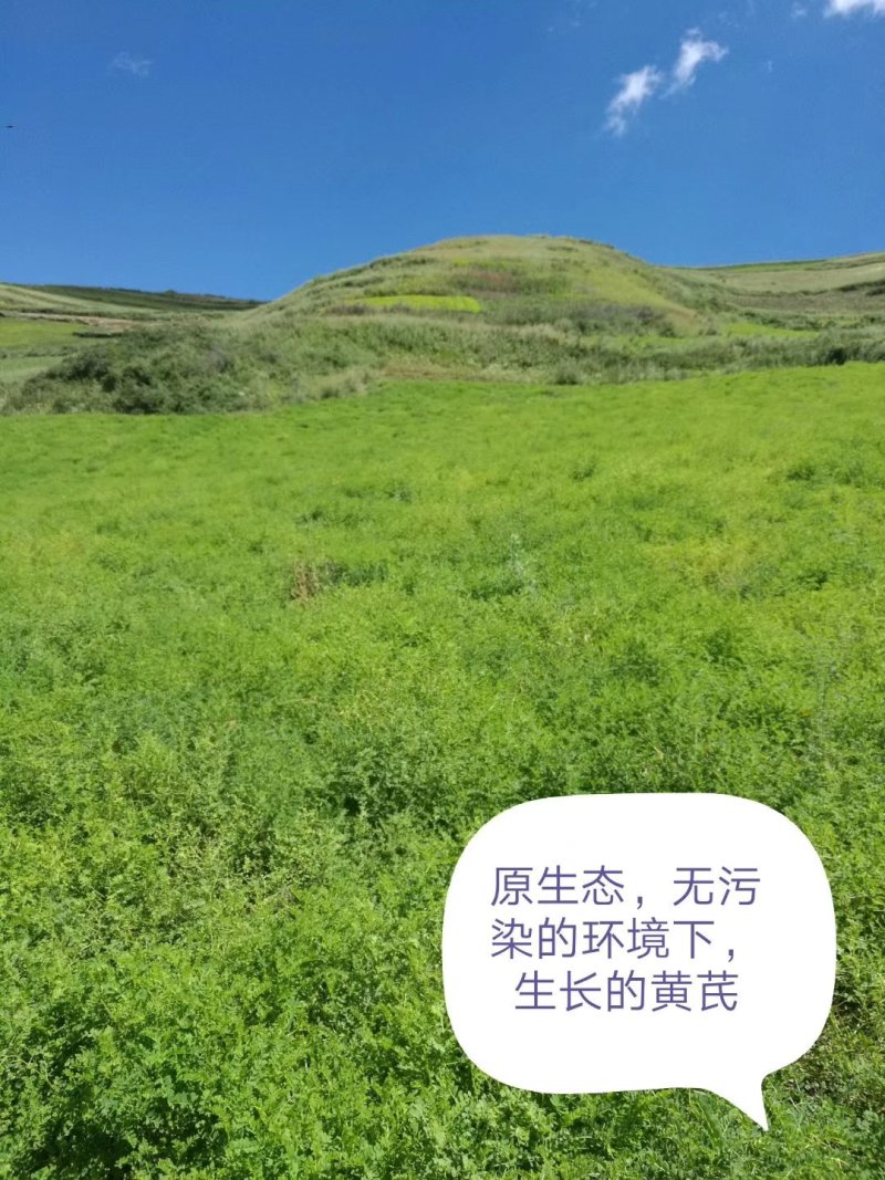 甘肃无硫白条党参岷县党参新货0.5-0.7