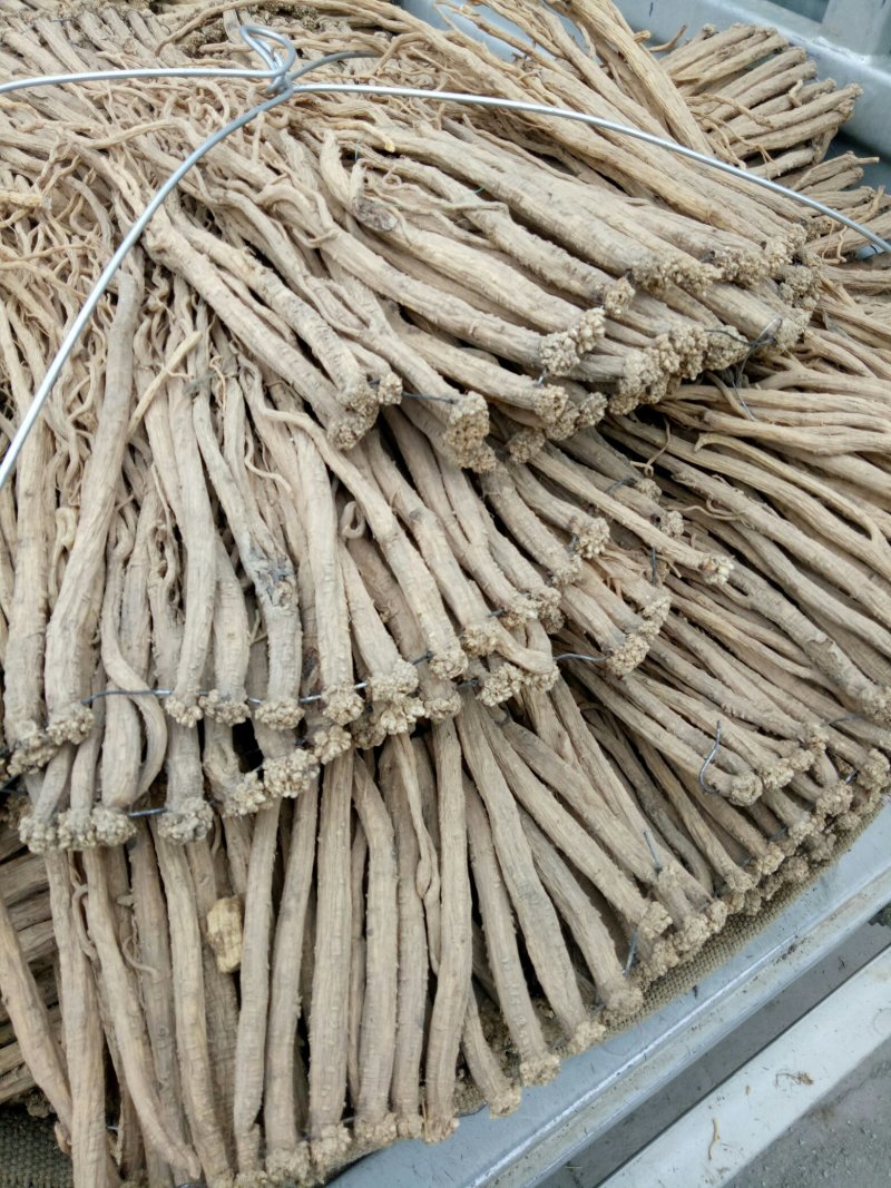 【自产自销】党参甘肃岷县无硫白条党参规格齐全质保价优