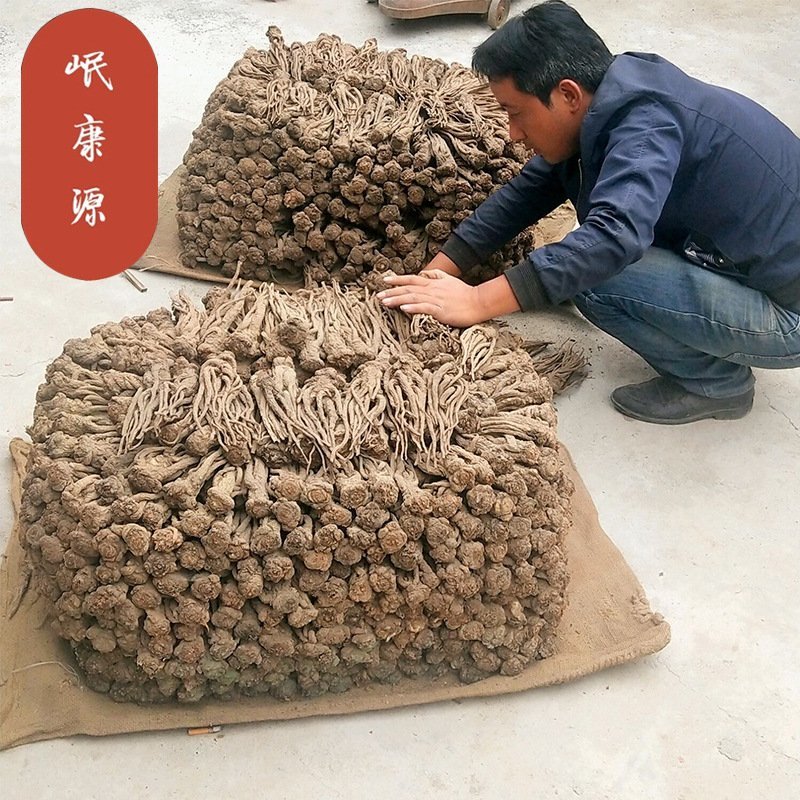 甘肃岷县当归5支1斤