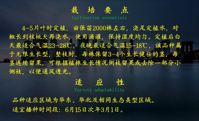 太空椒红彩椒种子乾德火麒麟抗病好口感好