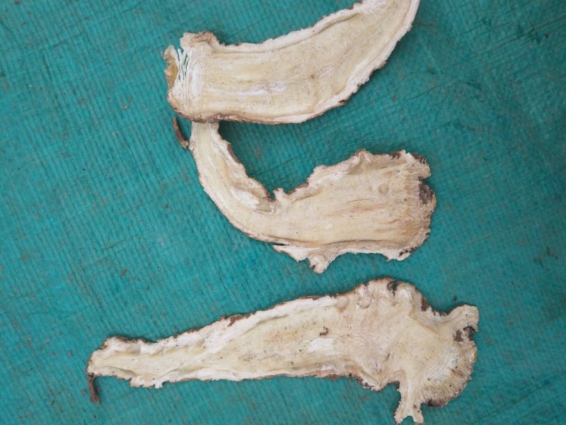 甘肃岷县无硫当归头片1.0筛产地直发保质保量欢迎随时订购
