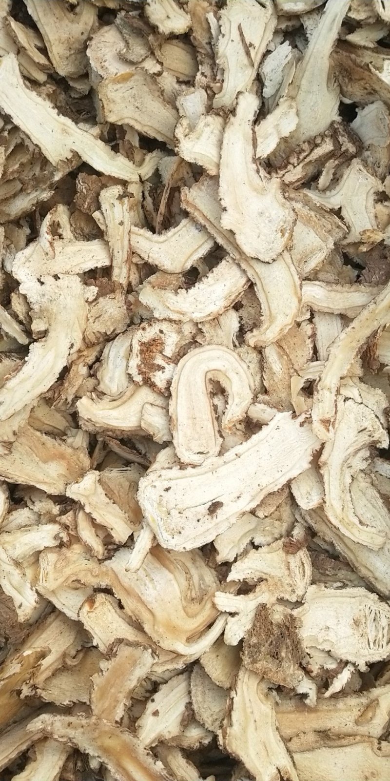甘肃岷县无硫当归头片1.0筛产地直发保质保量欢迎随时订购