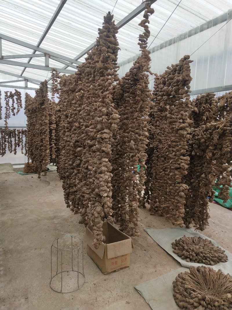 甘肃岷县无硫当归头片1.0筛产地直发保质保量欢迎随时订购