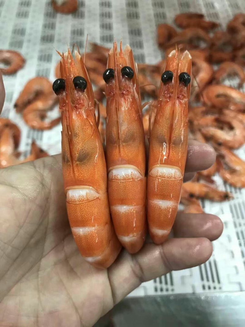 斑节虾