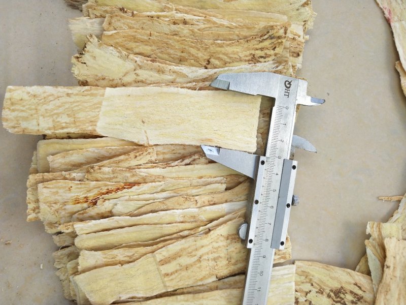 甘肃黄芪片。无硫黄芪四指片