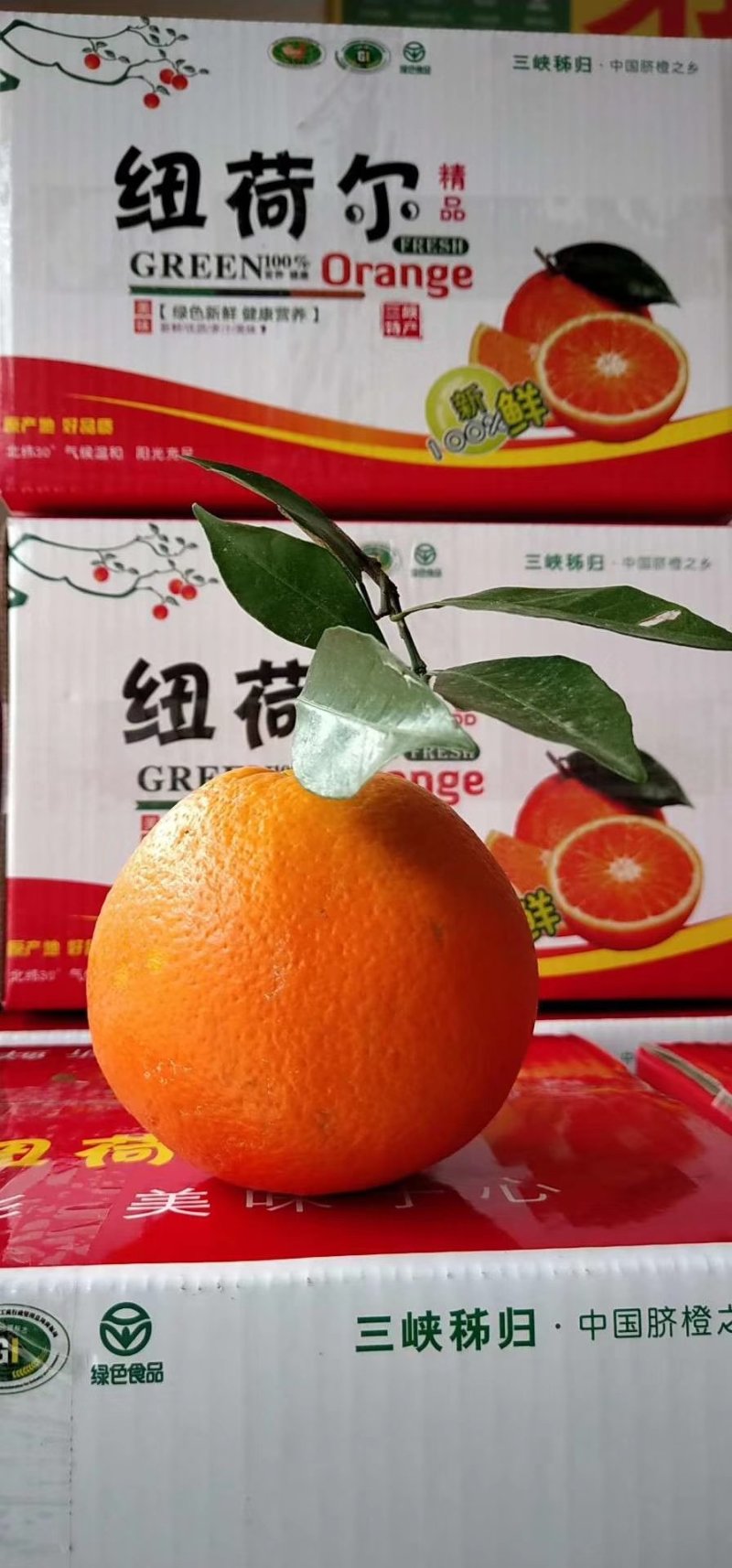 枝条，长虹，纽荷尔，血橙，伦晚，九月红等