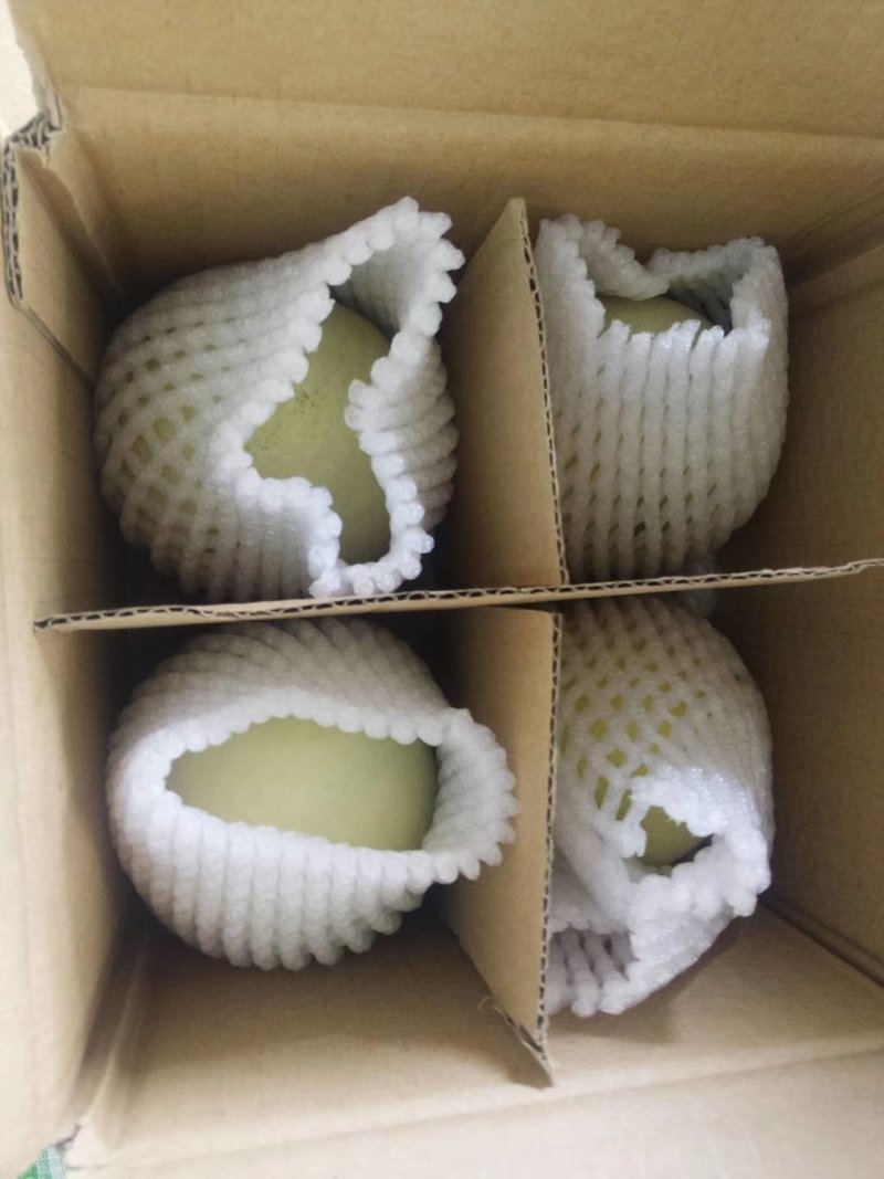 云南甜瓜大量供货一件代发，欢迎对接