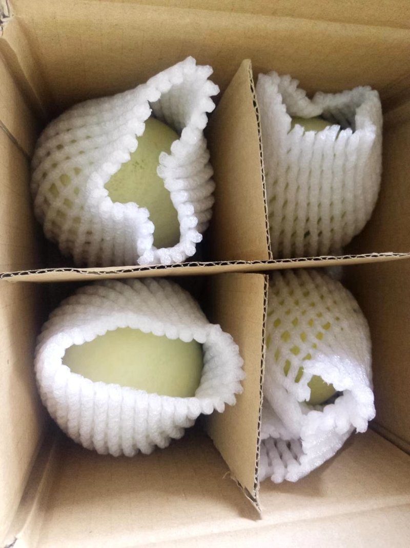 云南甜瓜大量供货一件代发，欢迎对接