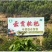 云霄枇杷之乡开春第一果云霄枇杷上市了，寻找有实力可代收购