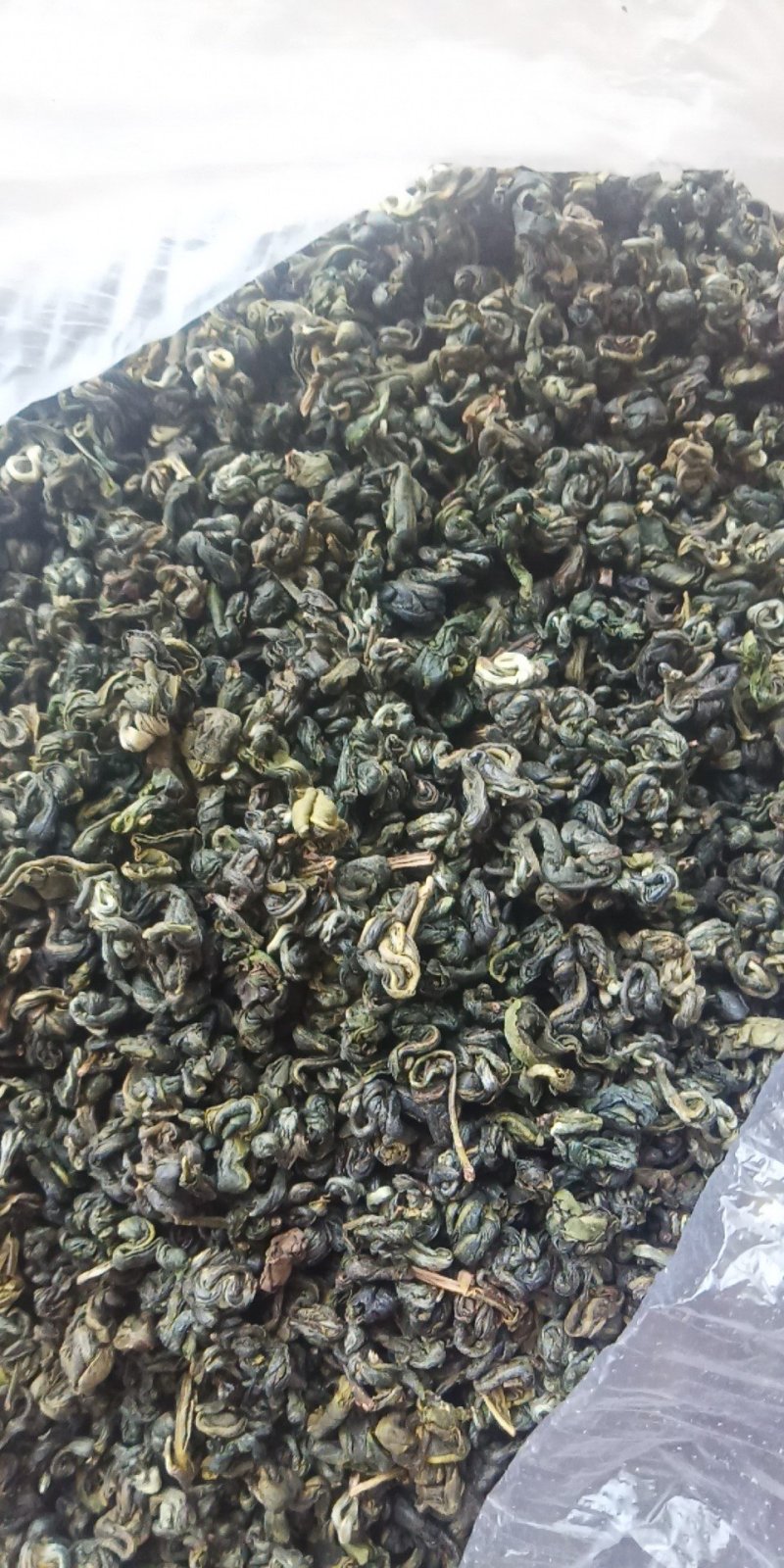 普洱茶