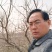石榴树，1-20公分石榴树，石榴苗，泰山红石榴树