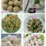 批发零售，认你选购。