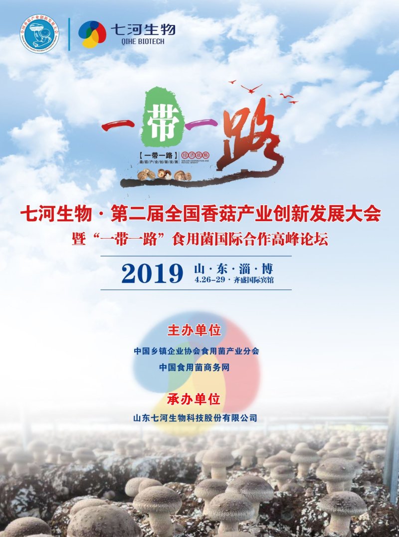 平菇菌种产量高颜色黑