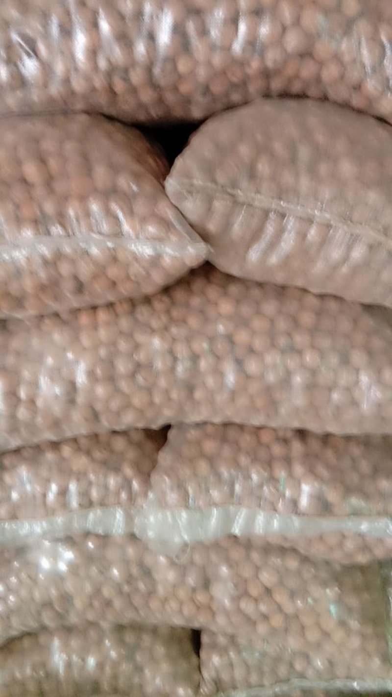 辽系薄皮核桃过30筛，烘干货仁白
