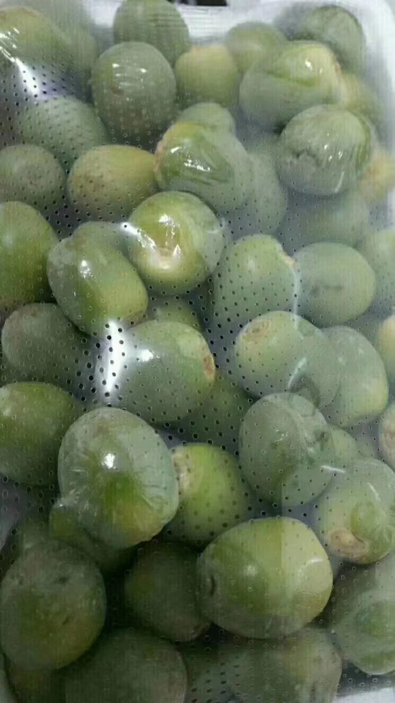 透气防雾膜