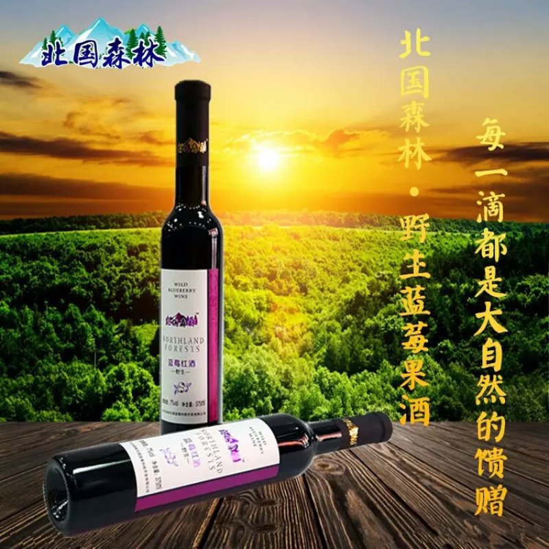 大兴安岭野生蓝莓酒北国森林蓝莓酒蓝莓红酒