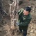 2公分葡萄苗，3公分葡萄苗，4公分葡萄苗