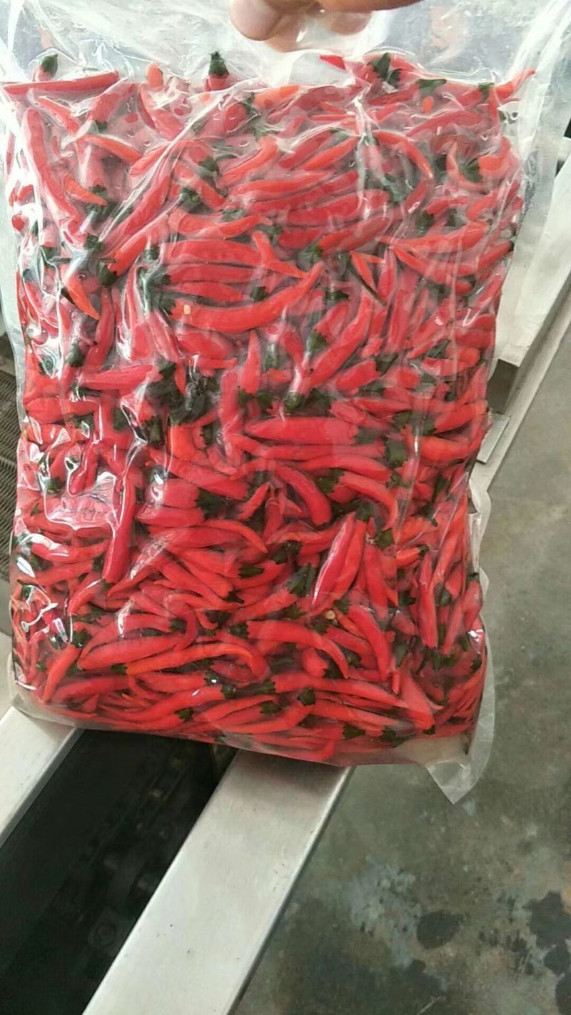 泡豆角
