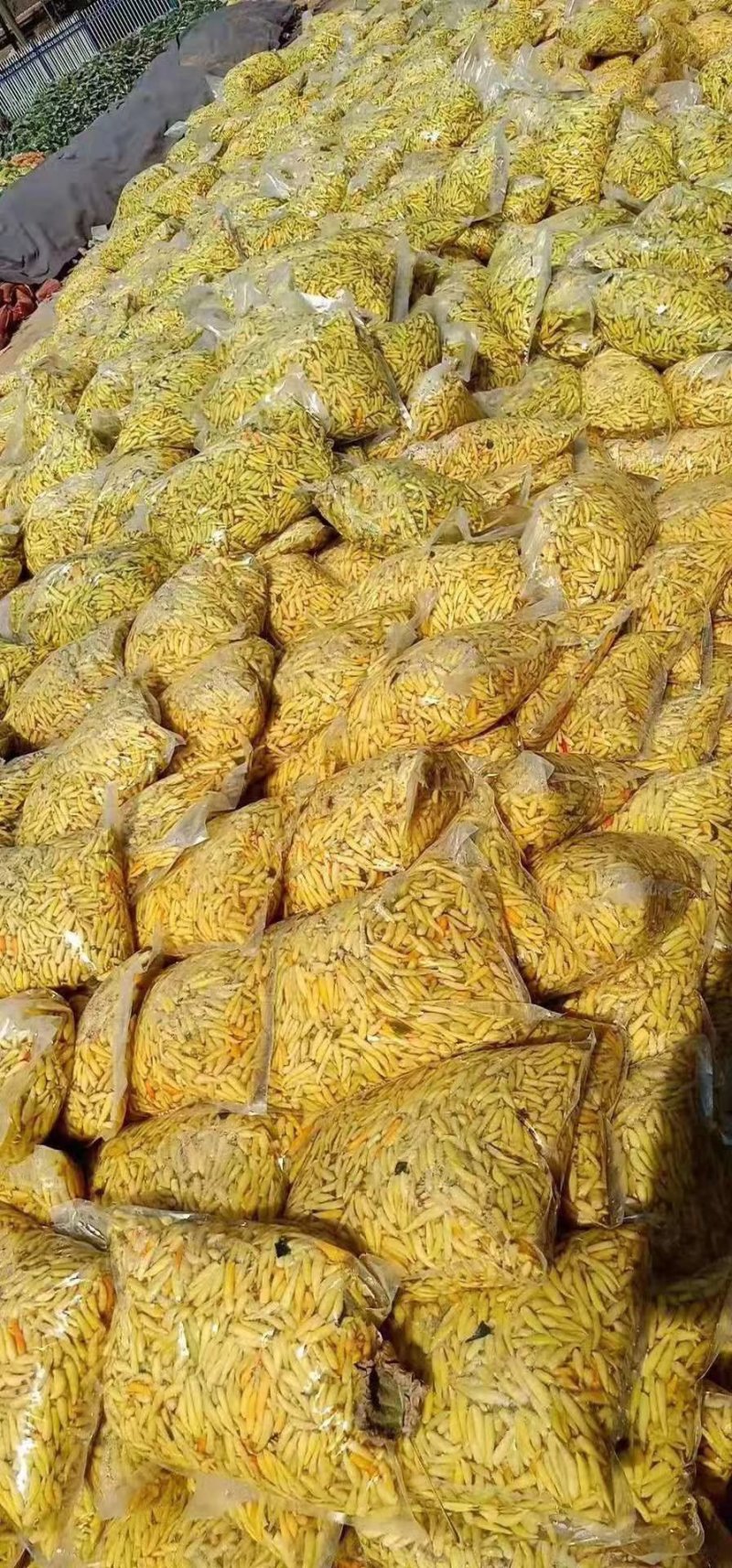 泡豆角
