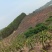 山地