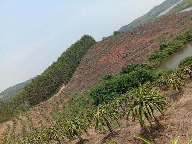山地