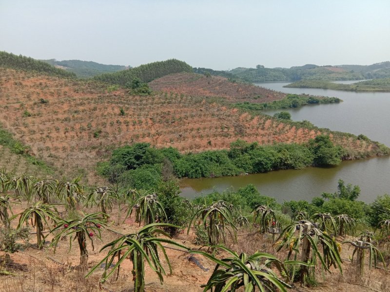 山地