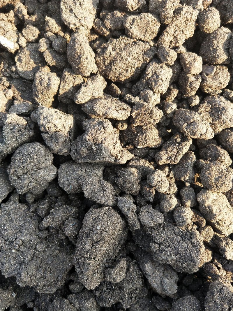 干猪粪自然风干，基地直发蔬菜果树专用改良土壤