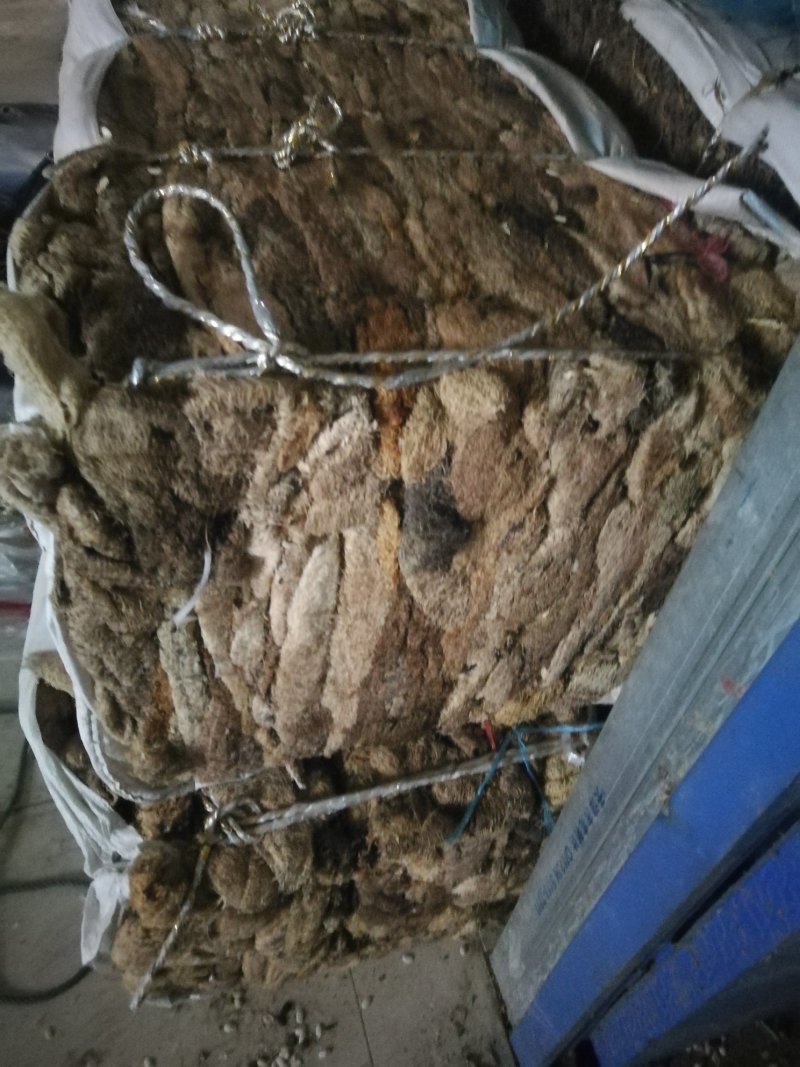 丝瓜络