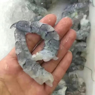 湛江青虾仁