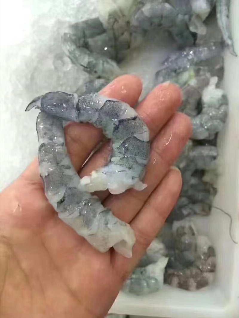湛江青虾仁
