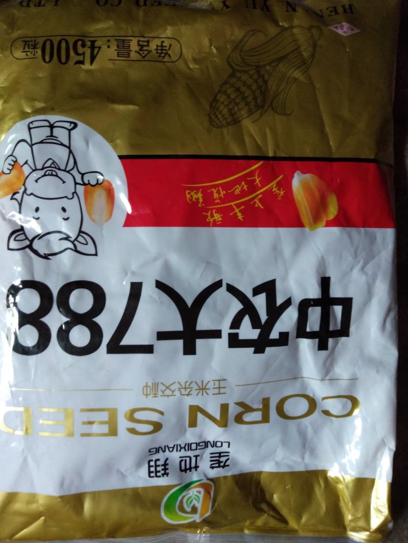 秋乐368/4400粒2017年国审品种