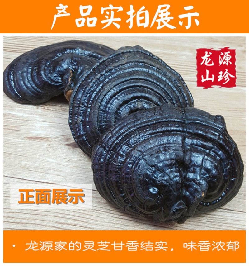大兴安岭紫灵芝半野生灵芝产地直销500g
